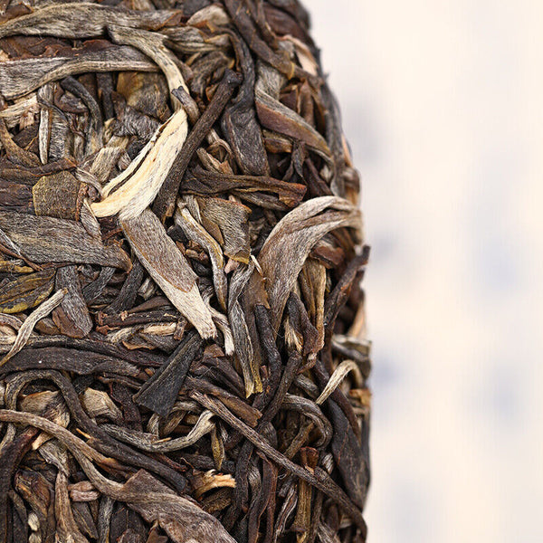 Haiwan The Gathering of Plant Spirit Raw Puer Excellent Shen Puerh Tea 400g