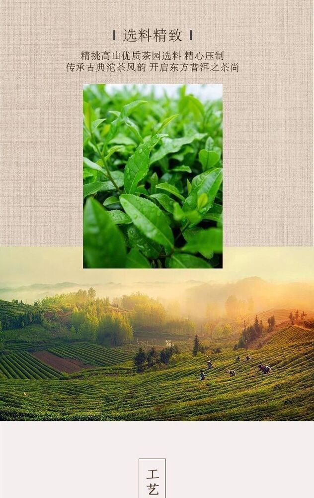 Colourful Yunnan Tuocha Raw Puer Mini Gold Pu'er Tea with Natural Fragrance 45g