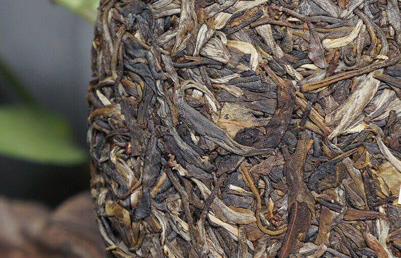 HAIWAN Brand Old Comrade Deep Mountain Old Tree Pu-erh Tea Cake 500g Raw