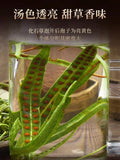 20g TongRenTang Golden Grass 同仁堂东北黄金草20g/瓶 嗷嗷叫草化石草 可配东北长白山参泡茶 男人茶 茶香四溢 NEW