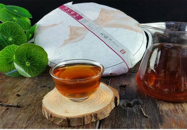 Yunnan Menghai Dayi 7592 1401 Chi Tse Beeng Ripe Shu Cooked Puer Pu Er Tea 357g