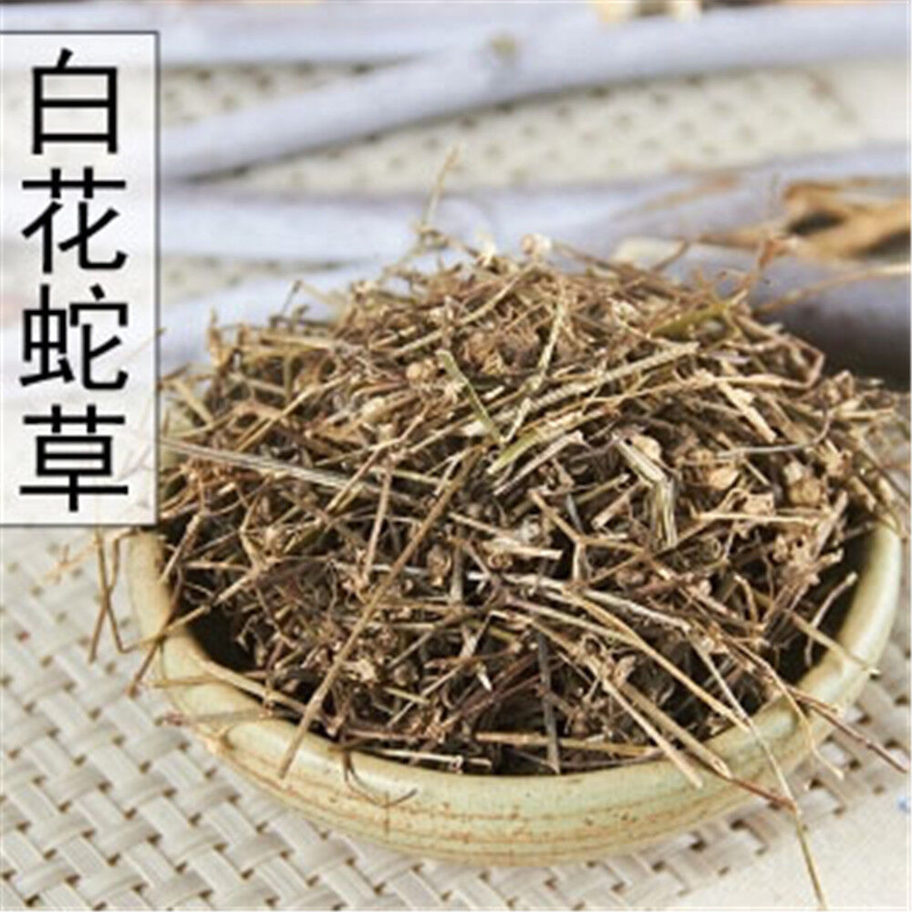 250g/500g 100% Organic Dried Herba Oldenlandia Diffusa Hedyotis White China Cao Main image