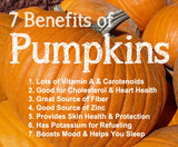 100% Organic Dried/dehydrated Pure Natural Pumpkin Powder Fruit & Vegeta