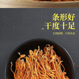 500g Chinese Dried Chinese Jin Chong Cao Cordyceps~Cordyceps Militaris Herb