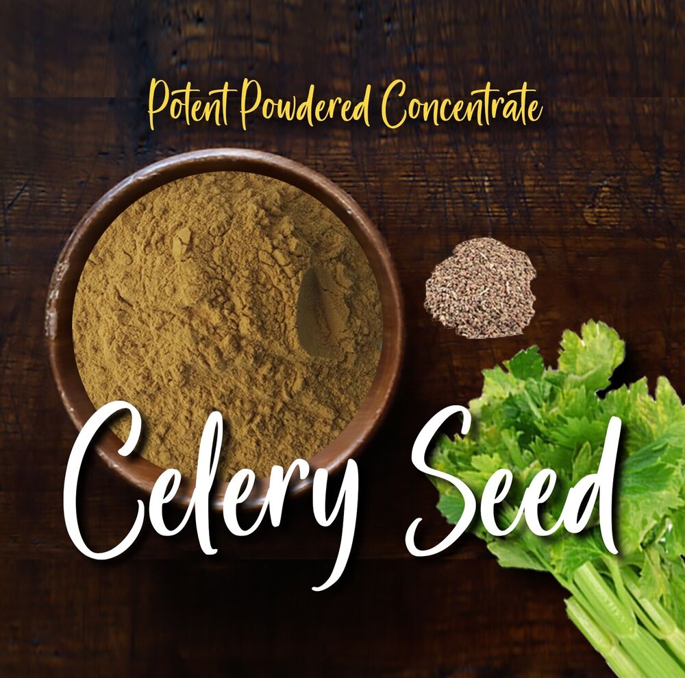 Premium Celery Seed Powder Pure Concentrate for smoothies tea  100% Pure Main image