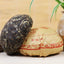 JIA JI TUO CHA *  PURSUE Menghai Tuo Cha Puer Tea Green Raw Pu-erh Tea 500g