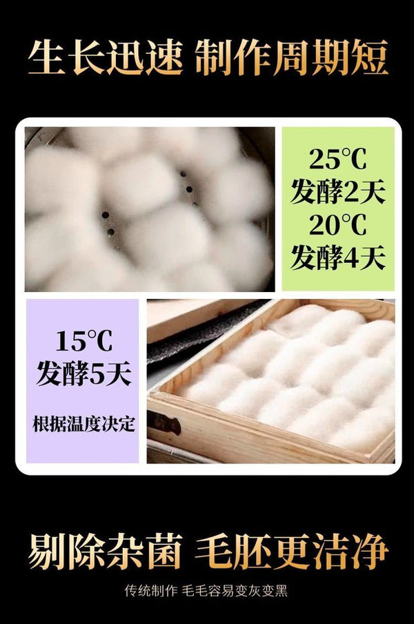 腐乳曲粉霉豆腐菌粉3g*20包 发酵菌曲子毛霉菌毛自制豆腐乳曲粉菌 Curd Cooking Powder Moldy Tofu Powder 3g*20bag