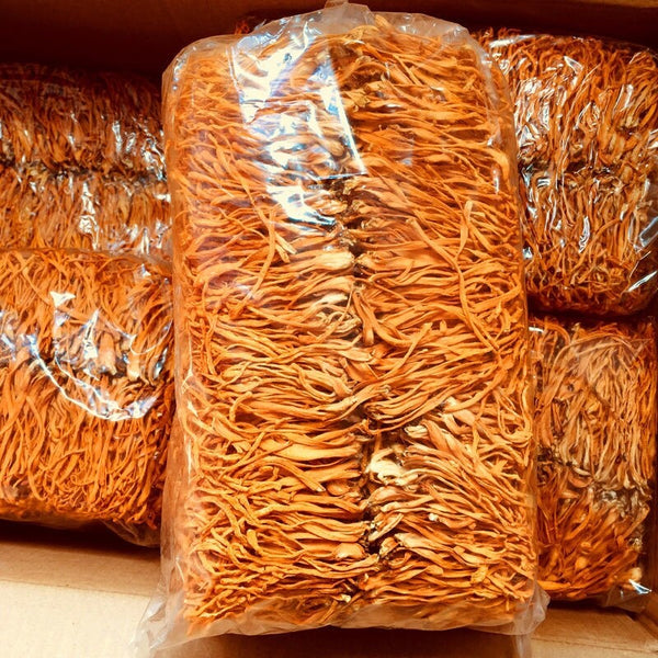 Militaris Fungus Chong Cao Hua Organic Premium 500g Super Mushroom Cordyceps