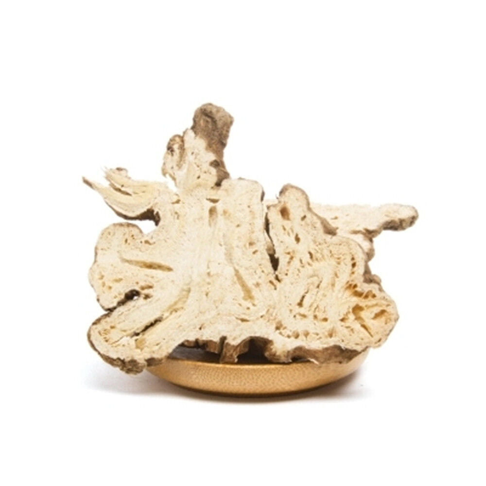 100% Natural Medicinal China Atractylodes Lancea Rhizome Dry Bulk Herbs Secondary image