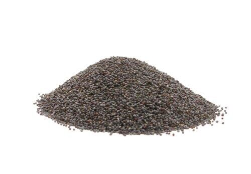Whole Poppy Seeds - 1 Pound - Baker Preferred Blue Poppyseed Main image