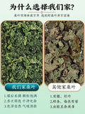 100g TongRenTang mulberry leaf tea 同仁堂桑叶茶100g/can 甄选原料 霜后桑叶 清香醇厚 可泡茶 代用茶 HOT