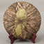 Yunnan Lincang Snow Mountain Raw Puer Bazi Tea Shen Puer Tea 400g