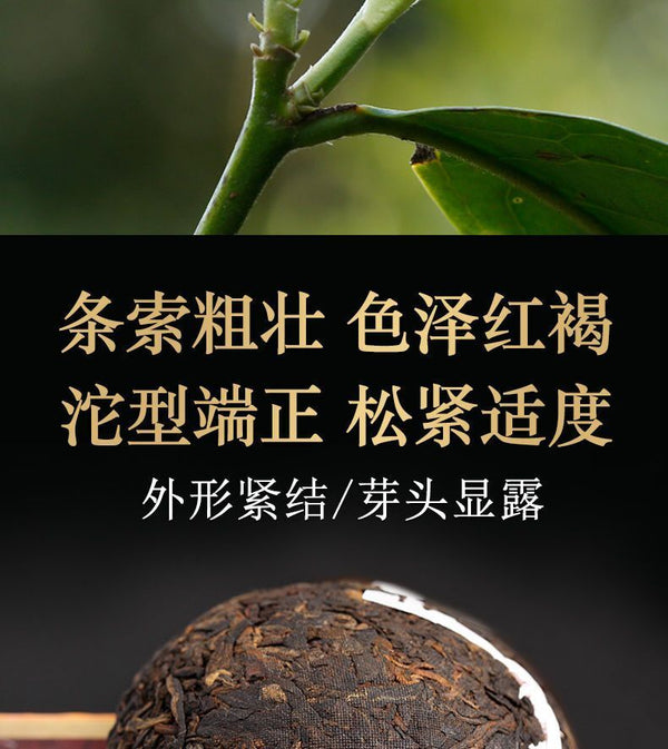 DALI Tuocha  Yunnan Xiaguan Shu Pu-erh Tea Pu'er Ripe Tea 100g Boxed