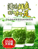 Supreme Xinyang Maojian Tea Mao Jian Fresh Green Tea Slimming Tea 250g Tin
