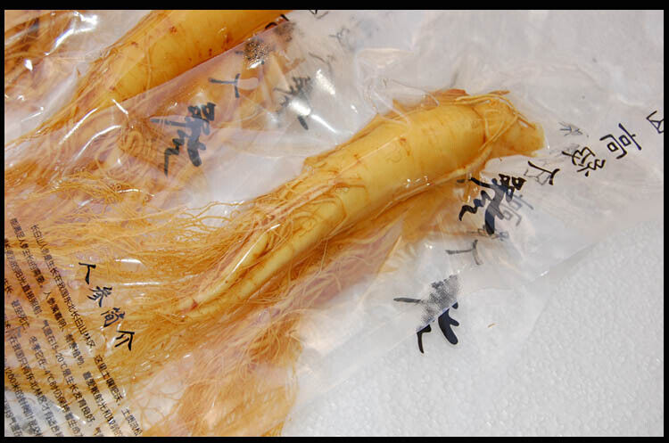 10 Pcs Fresh Ginseng Root Herbal Pren Optimal Grade Health Panax Ginseng Root Secondary image