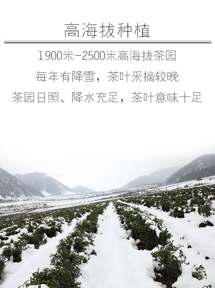 Yunnan Teng Chong High Mountain JIBIAN Organic Black Tea FENG XUE HONG YUN 100g