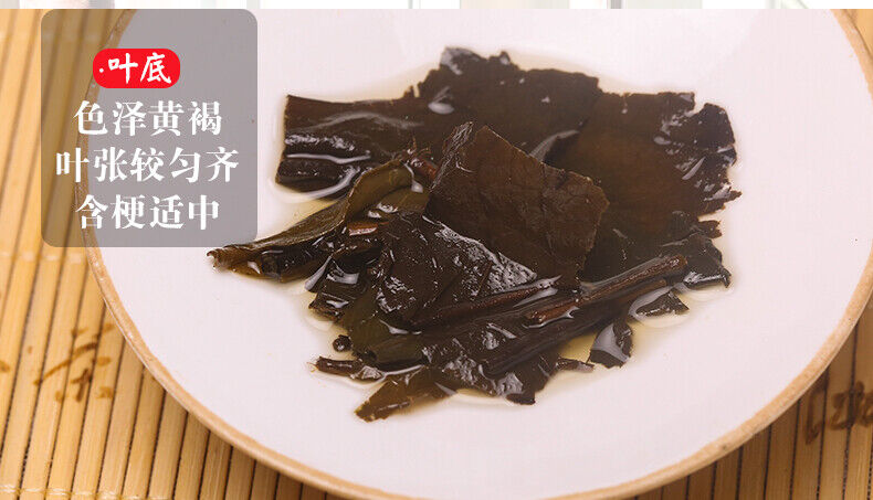 BAISHAXI Straight Foam Brick Anhua Golden Flowers Fucha Dark Tea 240g Brick