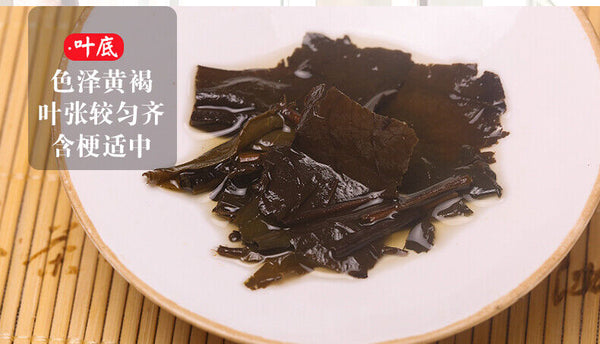 BAISHAXI Straight Foam Brick Anhua Golden Flowers Fucha Dark Tea 240g Brick