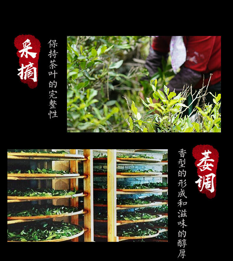 Premium Organic Non-Smoked Lapsang Souchong Black Tea 500g Zheng Shan Xiao Zhong