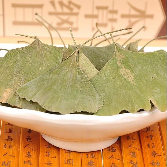 Dried Ginkgo Biloba Leaf Tea Health Pure Natural Anti-aging Green Chinese Herbal