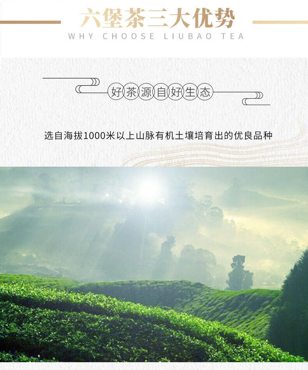 China Tea Liu Pao Tea 8218 Basket Wuzhou LiuBao Tea Black Dark Tea 500g
