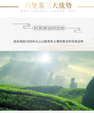 China Tea Liu Pao Tea 8218 Basket Wuzhou LiuBao Tea Black Dark Tea 500g