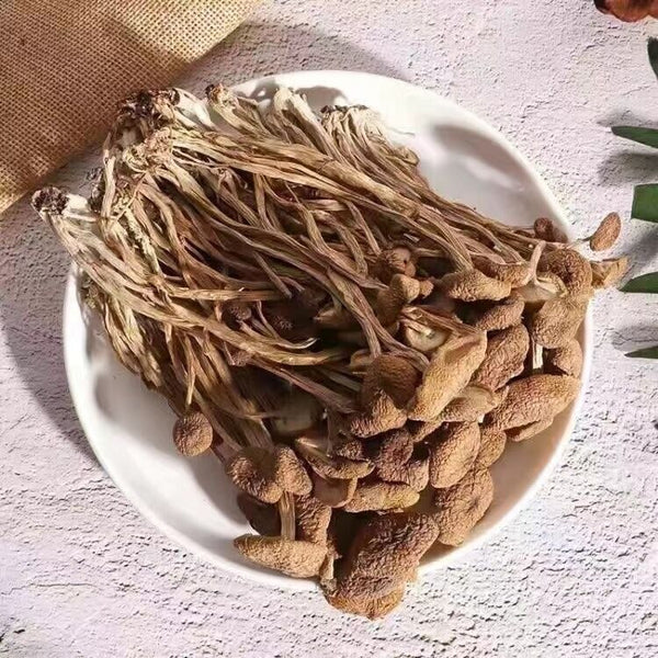 Natural Tea Tree Mushrooms agrocybe cylindracea Dried Mushrooms Kitchen Food 茶树菇