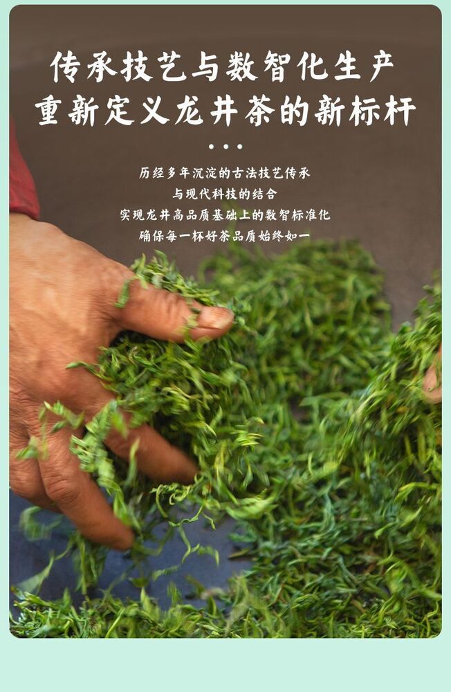 Yuqian XinChang LongJing Tea Fresh Dragon Well Long Jing Green Tea 250g Bag