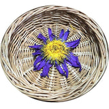 Dried Blue Lotus Flower Egyptian Lotus Natural Whole Flower Herbal Tea 50g