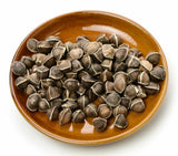 Moringa Oleifera Seeds WINGLESS Fresh Organic Semillas de Moringa Tree