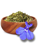 Lobelia Herb Dried Lobelia inflata 500g Apothecary Herbal
