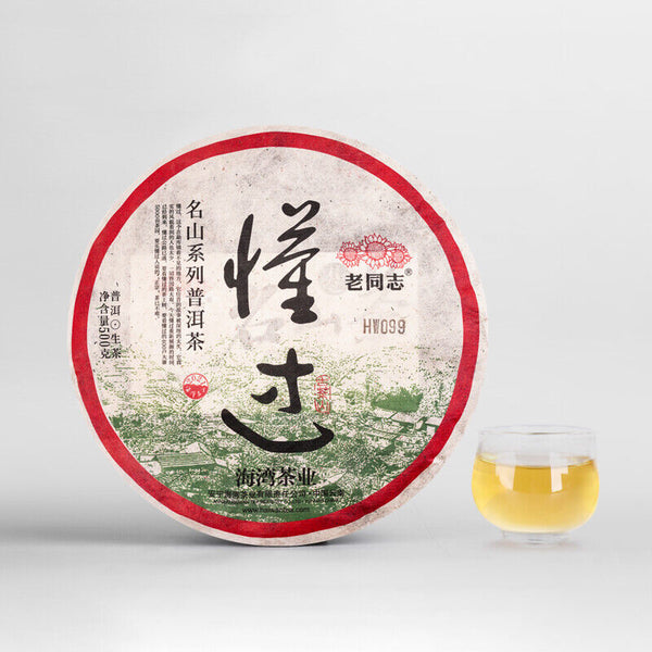 Haiwan Dong Guo Gu Shu Shen Puer Famous Mountain Old Tree Raw Puer Tea 500g