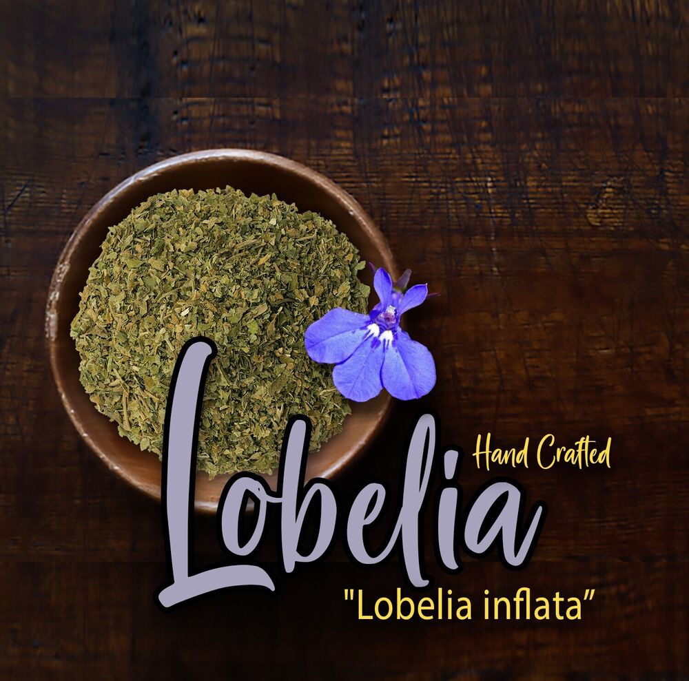 Lobelia Herb Dried c/s Lobelia inflata 500g Apothecary Herbal Secondary image