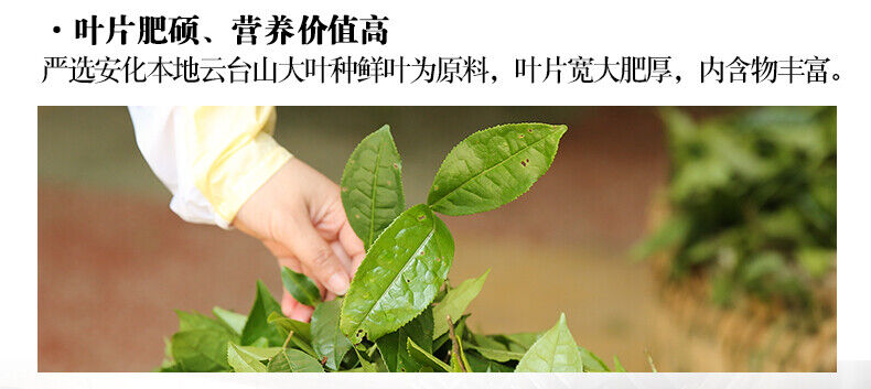 BAISHAXI Straight Foam Brick Anhua Golden Flowers Fucha Dark Tea 240g Brick