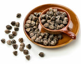 Moringa Oleifera Seeds WINGLESS Fresh Organic Semillas de Moringa Tree
