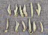 Yunnan White Bud Pu-erh Tea Bai Ya Bao Sheng Puerh Loose Leaf Raw Puer Yabao