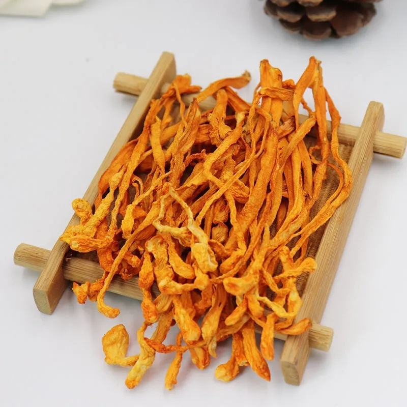 Tradition Organic Cordyceps Sinensis Dried Mushroom 250g/8.8oz