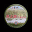 Spring Charm of Jingmai Mountain Pu-erh Pu'er Tea Raw Tea Qizi Cake 200g