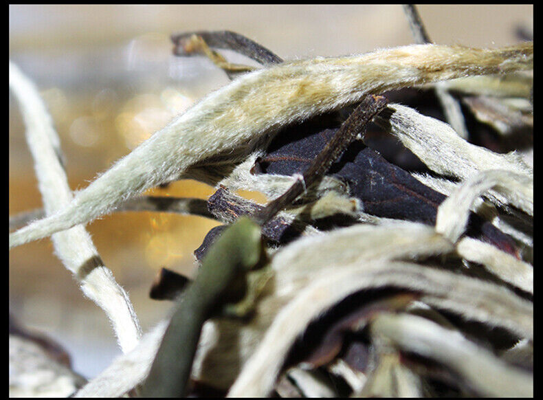 Yunnan Jing Gu Puer Moonlight White Buds Pu'er Puerh Loose Tea Raw 100g/3.52oz