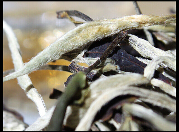 Yunnan Jing Gu Puer Moonlight White Buds Pu'er Puerh Loose Tea Raw 100g/3.52oz