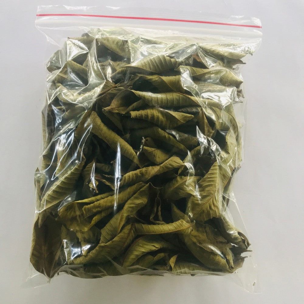 Premium Dried Guava Leaves Hojas De Guayaba Leaf 50 g-500 g