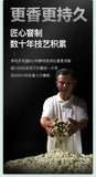 EFUTON Mo Li Pearl Jasmine Green Tea Jasmine Dragon Pearl Tea Jasmine Tea 200g