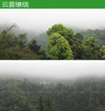 500g Golden Bud Nuggets Dark Tea Guangxi Dark Tea