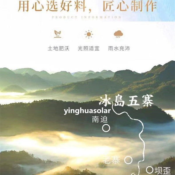 冰岛五寨冰岛龙珠古树普洱茶bingdao Pu'er Tea小沱茶 生普洱早春小粒装云南茶叶 Natural Health China Tea 柔香清甜天然健康