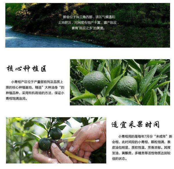 250G (8.8 Oz) Palace Orange Peel ChenPi Citrus Puer Pu'er Puerh Ripe Loose Tea