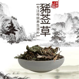 Medicinal  Dried Xi Xian Cao (xi qian cao) /Siegesbeckia 100% Natural