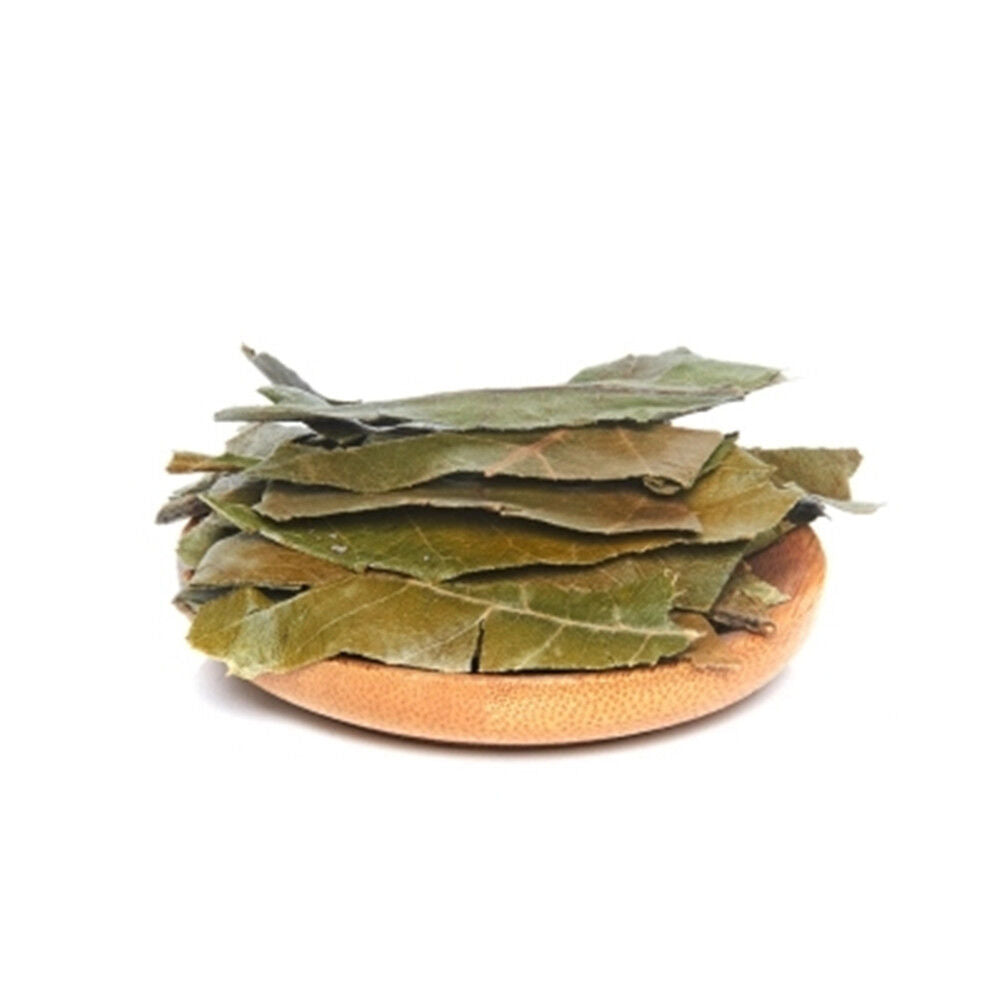 Medicinal Chinese Herb Loquat Leaf / Eriobotrya Japonica 100% Natural 250g/8.8oz