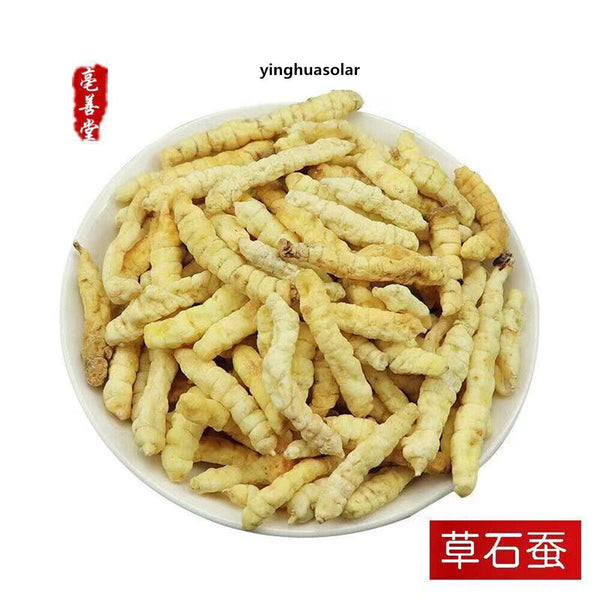 草石蚕 East Naturhus Dried Herb Chinese Artichoke Headache Joint Pain Asthma 500g