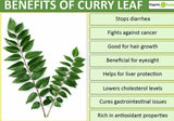 Natural Pure Premium Quality (Murraya Koenigii) Dried Organic Curry Leaves/leaf