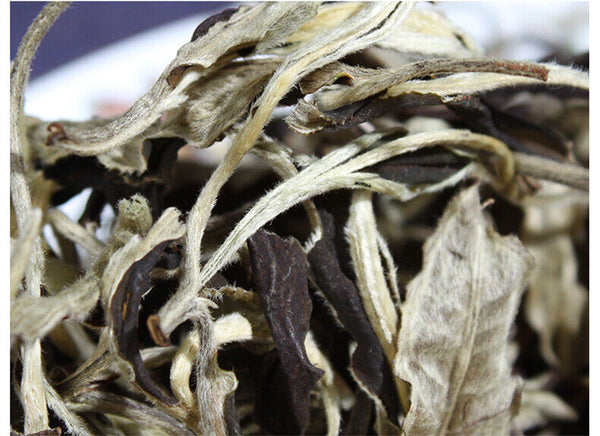 Yunnan Jing Gu Puer Moonlight White Buds Pu'er Puerh Loose Tea Raw 100g/3.52oz